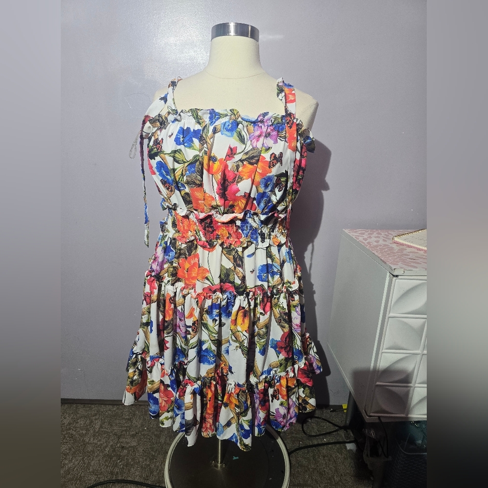 L'atiste By Amy Floral Sleeveless Dress Size 2x
